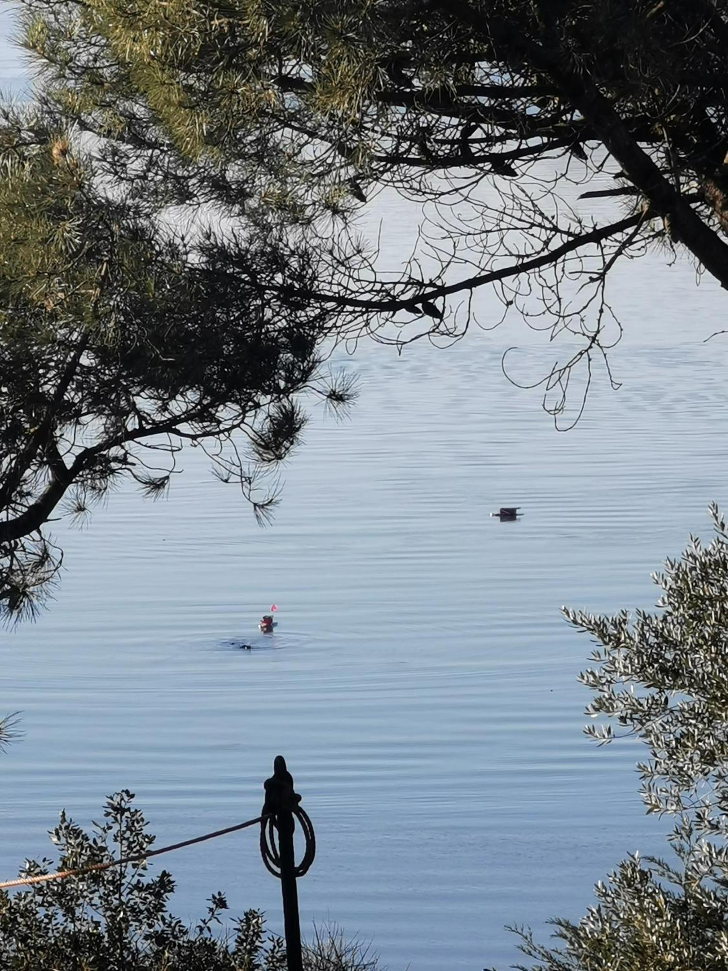 Ferienwohnung Les Pieds Dans L'Eau Saint-Malo Exterior foto